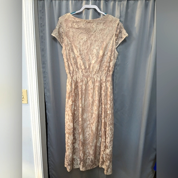 Reba Dresses Reba Pale Pink Lace Overlay Dress Poshmark